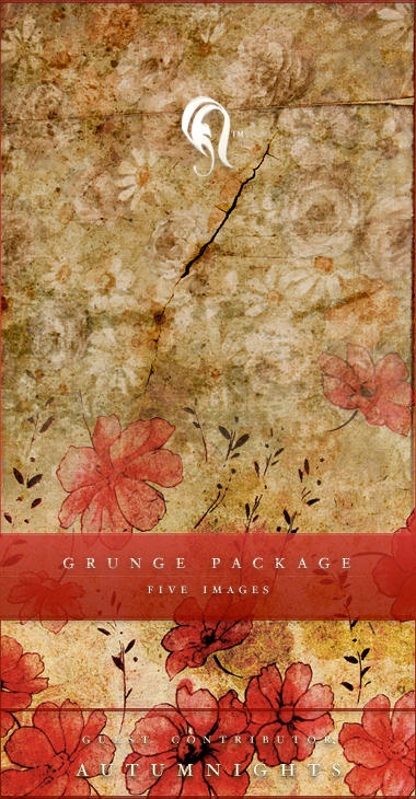 Package - Vintage Grunge